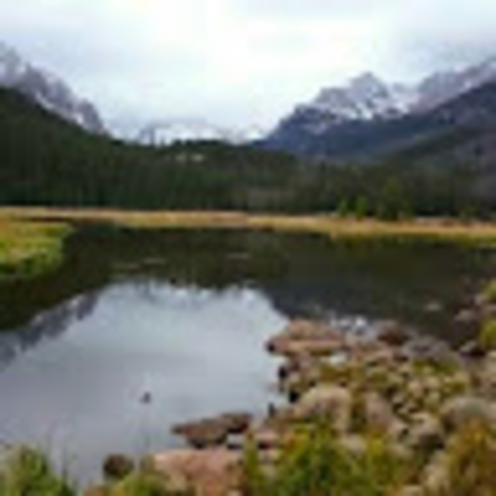 Meet your Posher, Phillip